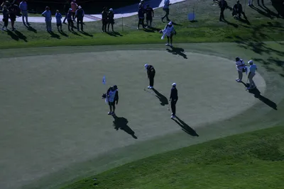 DSC_0718 (Large).JPG